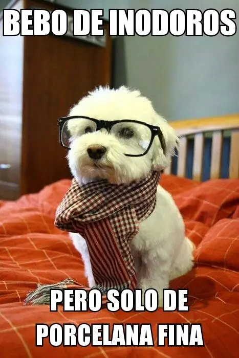 graciosas graciosas
