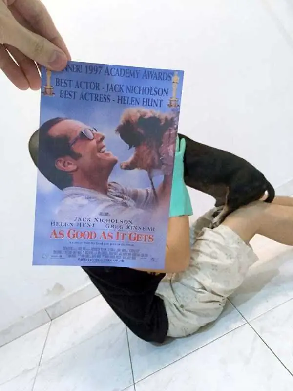 Elige tu peli favorita !!