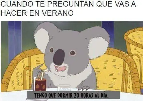 imagenes