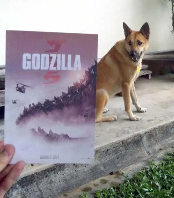 peliculas