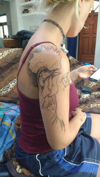 lo mejor que veras esta noche