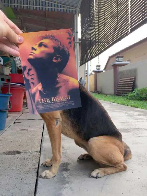 Elige tu peli favorita !!