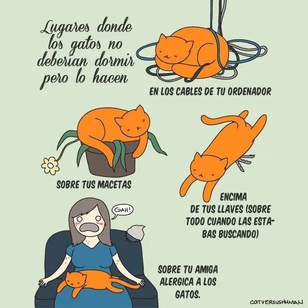 imagenes