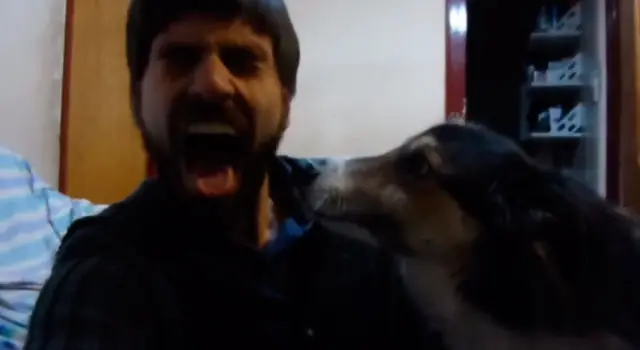 Un simpático perro contagiado por el bostezo de su familiar