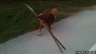 Gifs del domingo!