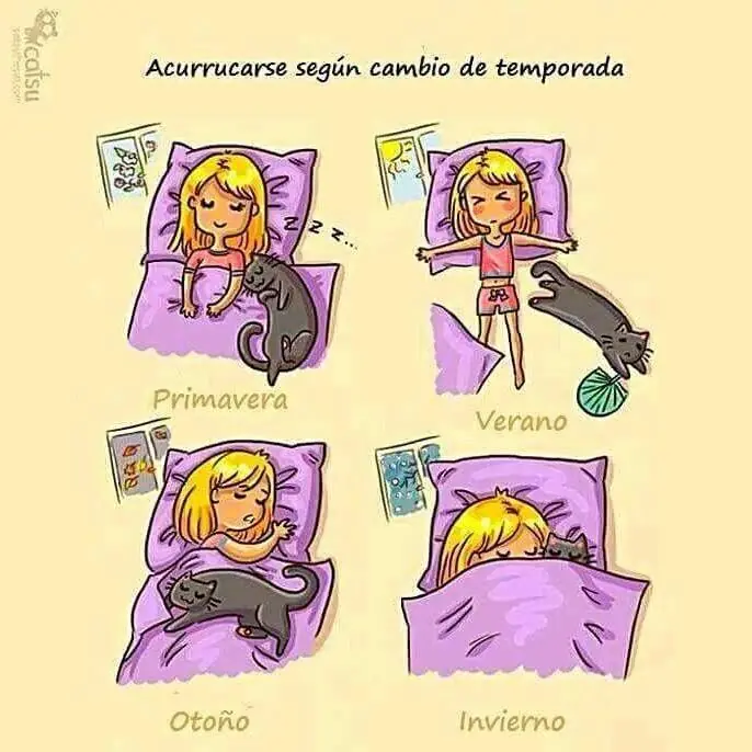 Imágenes Graciosas