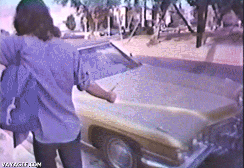 Gifs del domingo!
