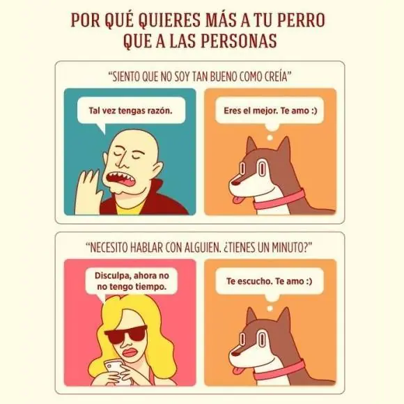fotos