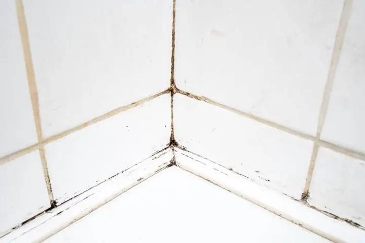 oxigenada