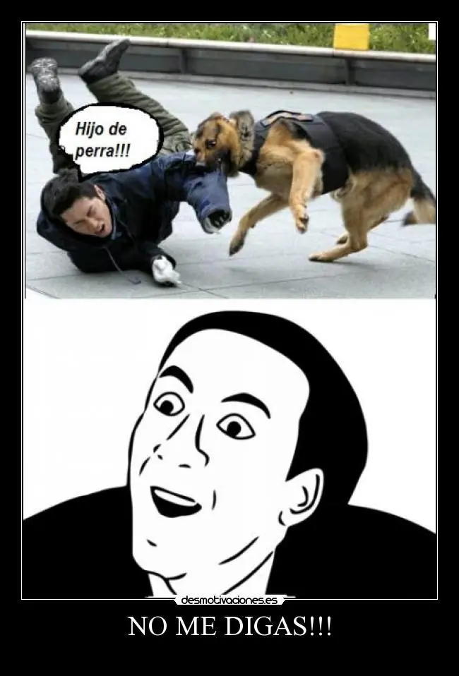 memes