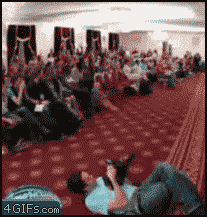 Gifs del domingo!
