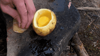 comidas de campo