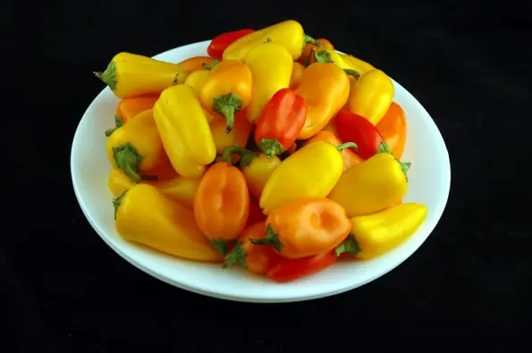 gordas