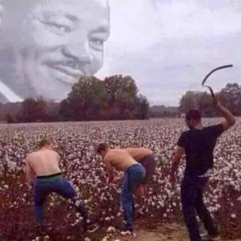 humor