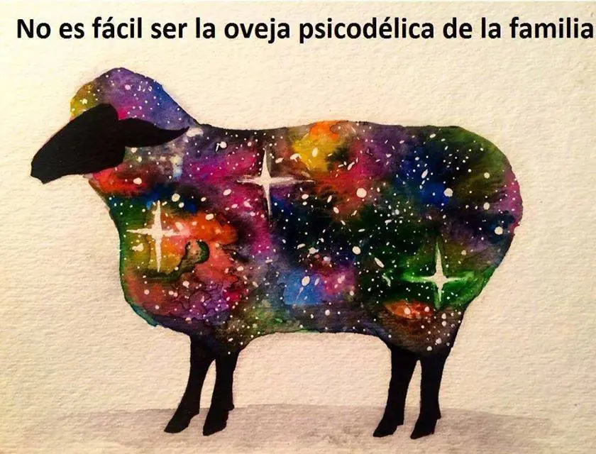 humor