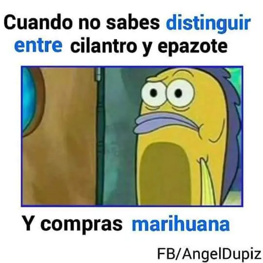 imagenes