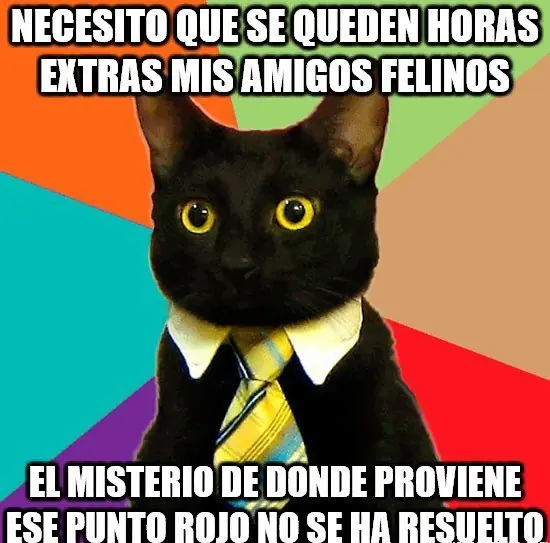 taringa taringa