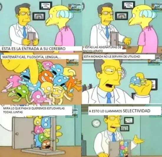 graciosas graciosas