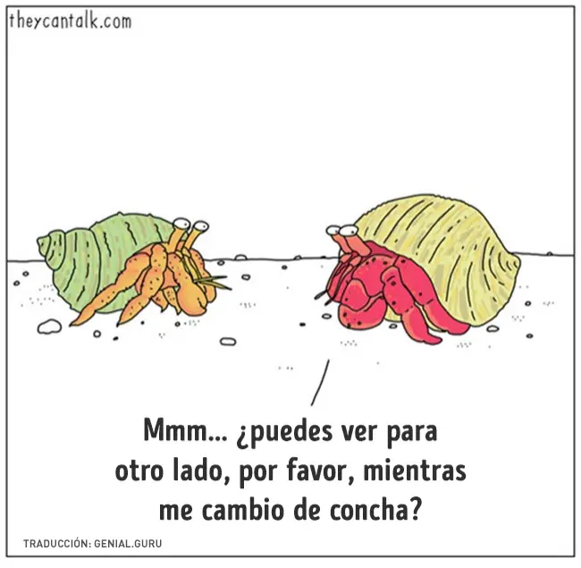 piensan