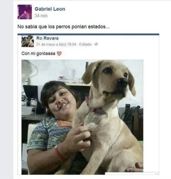humor humor