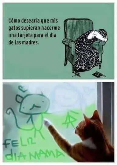chistes