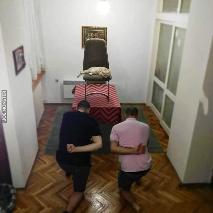 taringa