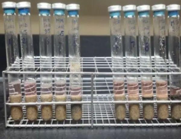 ciencia ciencia