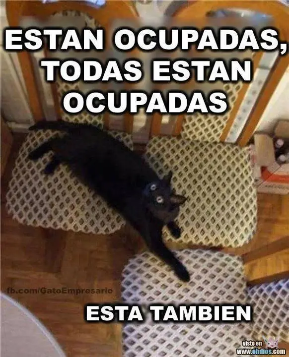 humor