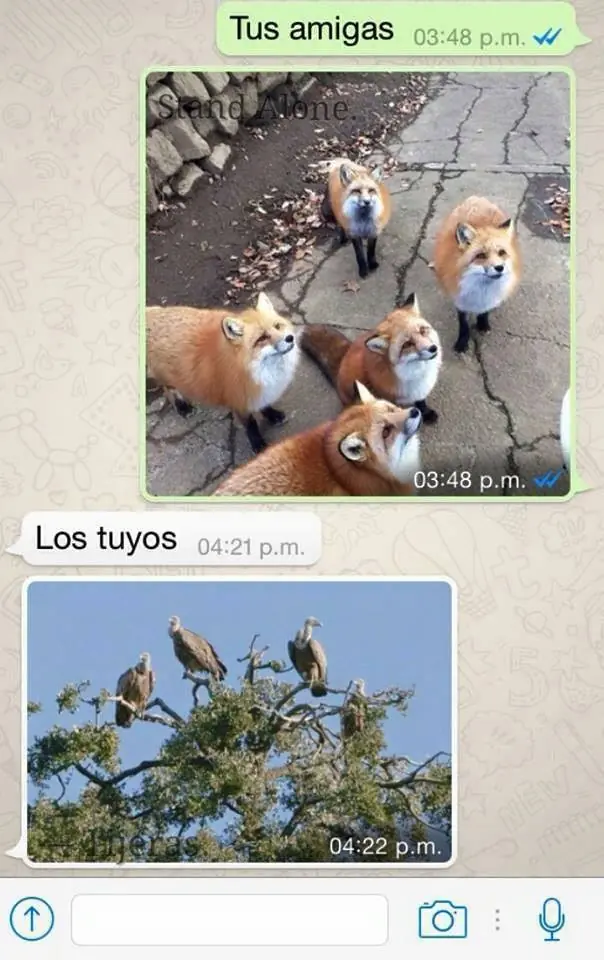 fail