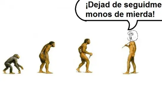 Memes