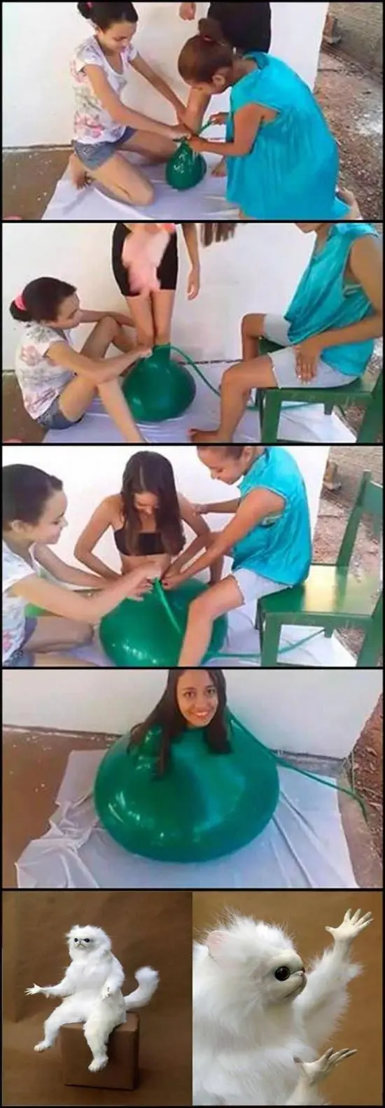 ocio ocio
