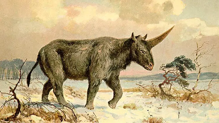 paleontologia
