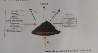 fertilizante