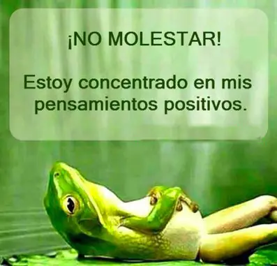 actitud actitud