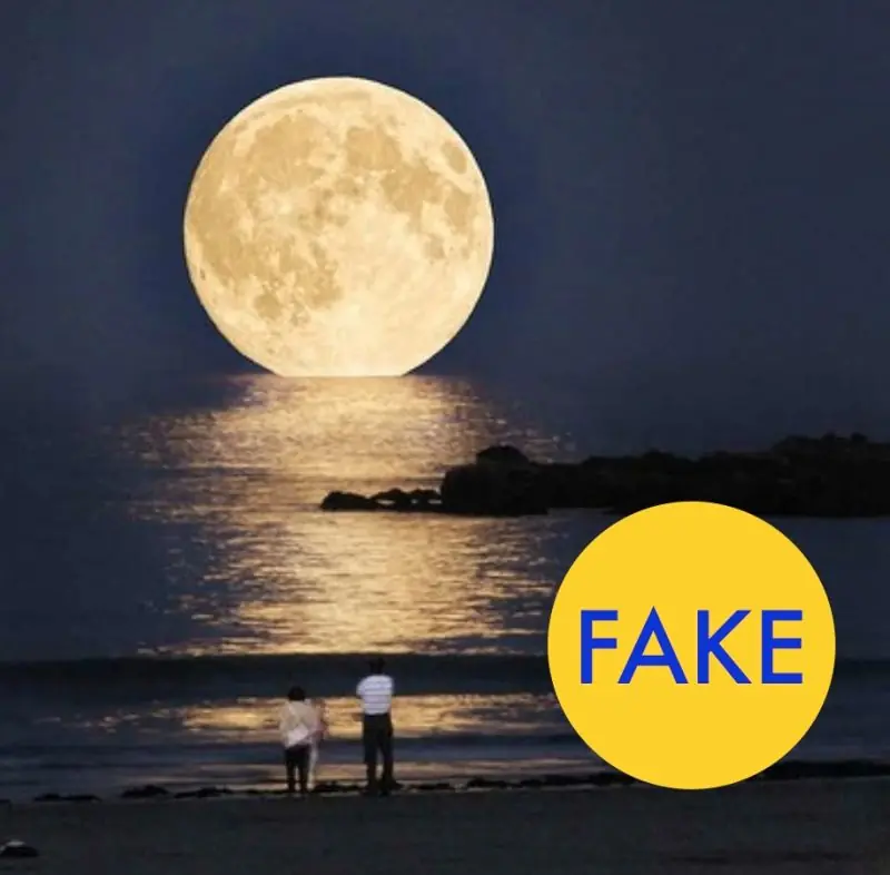 fakes