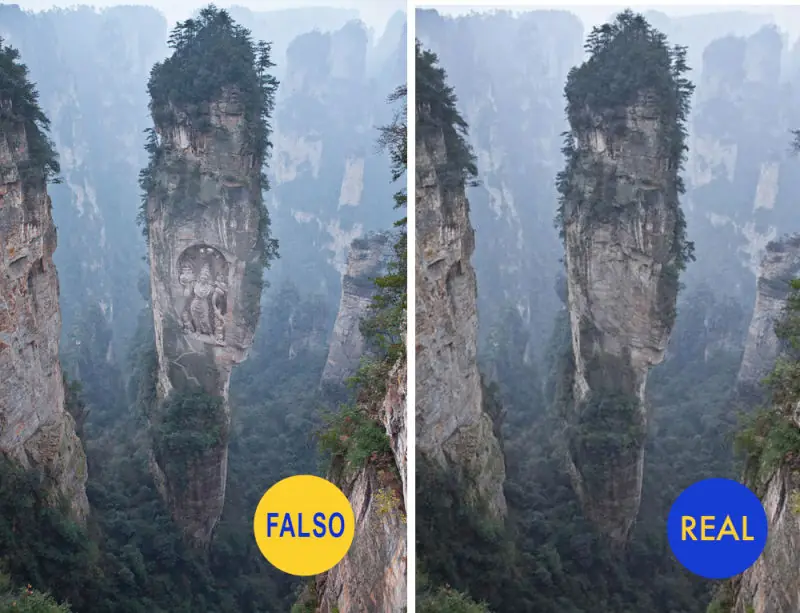 falsas