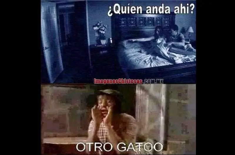 Filmaban película porno en cementerio y fueron confundidos..