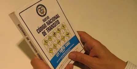 Ceda el Paso (Rotondas)