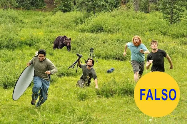falsas