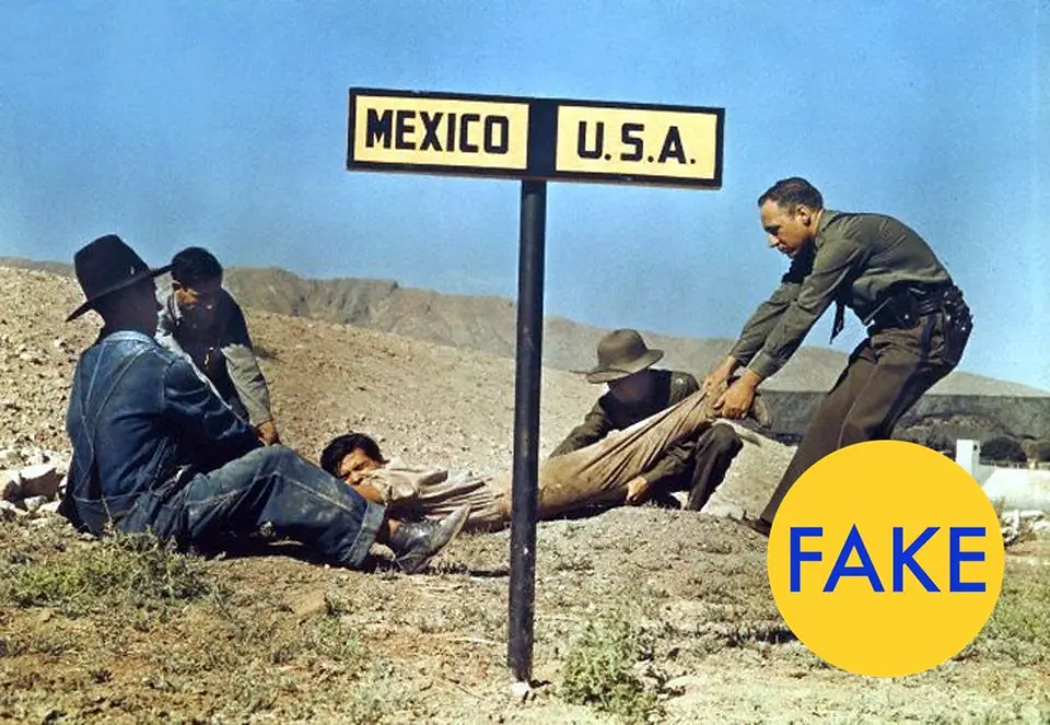 fakes
