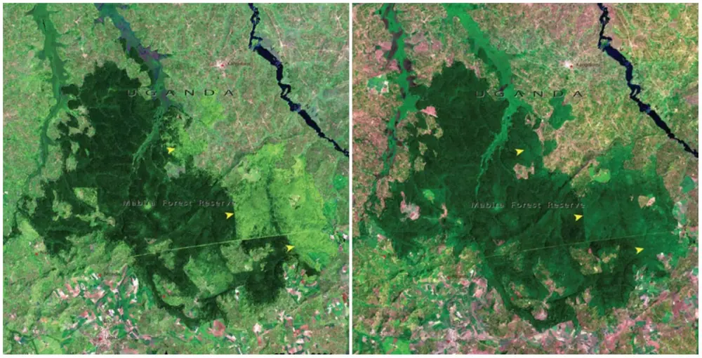 Algunas imagenes de la Tierra antes y ahora, hace falta mas?