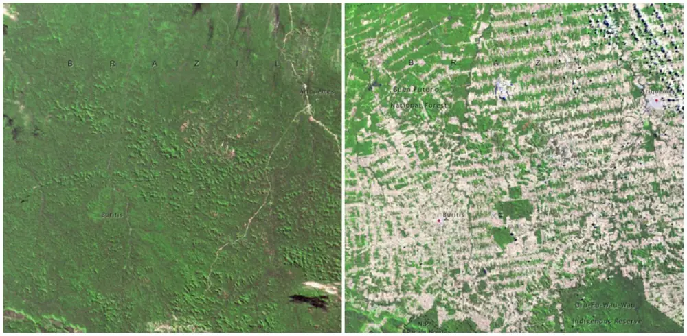 desastre ecologico