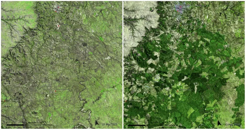 desastre ecologico