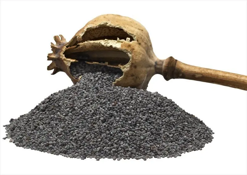 drogas