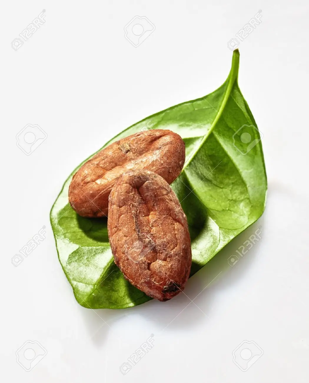 alimentos