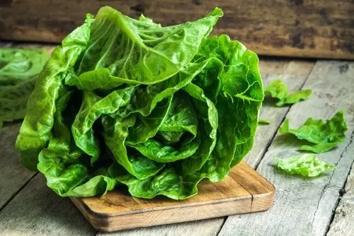 alimentos