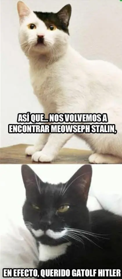 estas