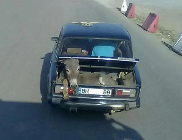 mecanica automotriz
