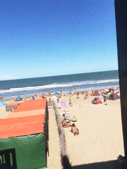 taringa