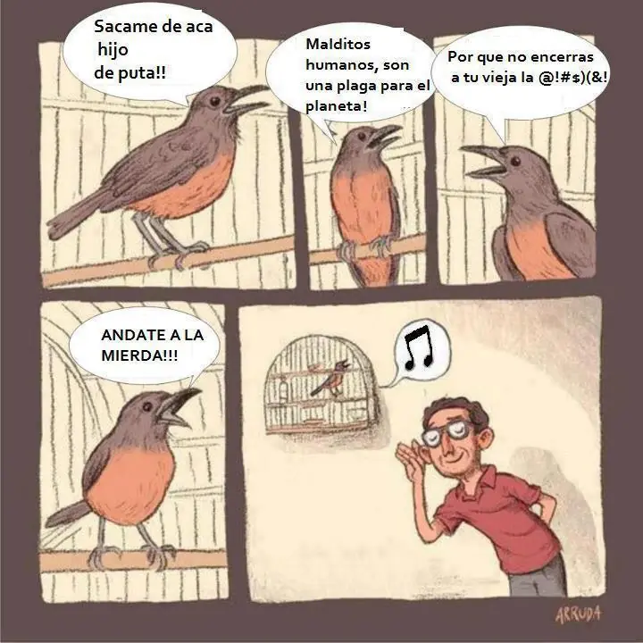 graciosas